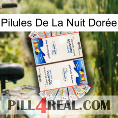 Pilules De La Nuit Dorée kamagra1